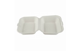 Medium Compostable Food Box