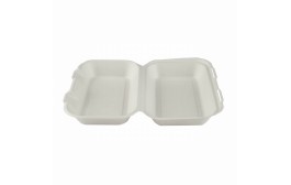 Large Compostable Food Box