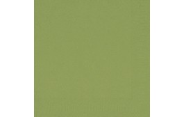 Duni Tissue Napkins 2ply Leaf Green