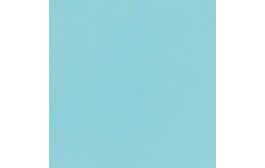 Bio Dunisoft Napkins Mint Blue