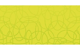 Dunisilk+ Slipcover Circuits Kiwi