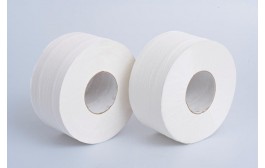 Mini Jumbo Toilet Roll 2ply 200m