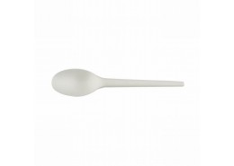 CPLA Spoon