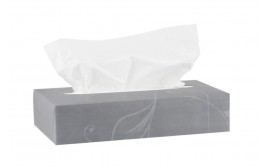 Katrin Plus Facial Tissues 2ply