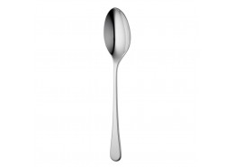 Iona Bright Serving Spoon