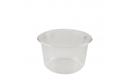 PLA Clear Salad Bowl