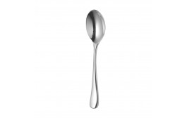 Radford Bright Coffee Spoon