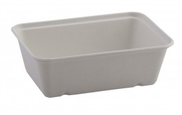 Bagasse Food Tray